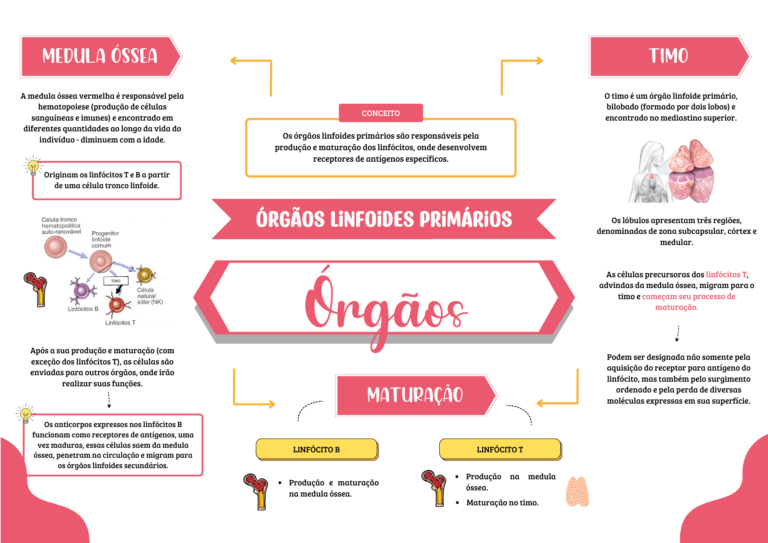 Imunidade Adaptativa