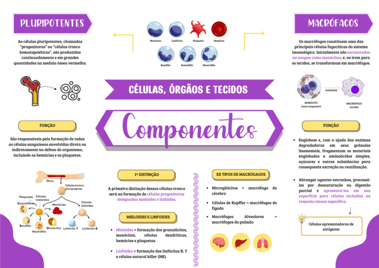Imunodeficiências