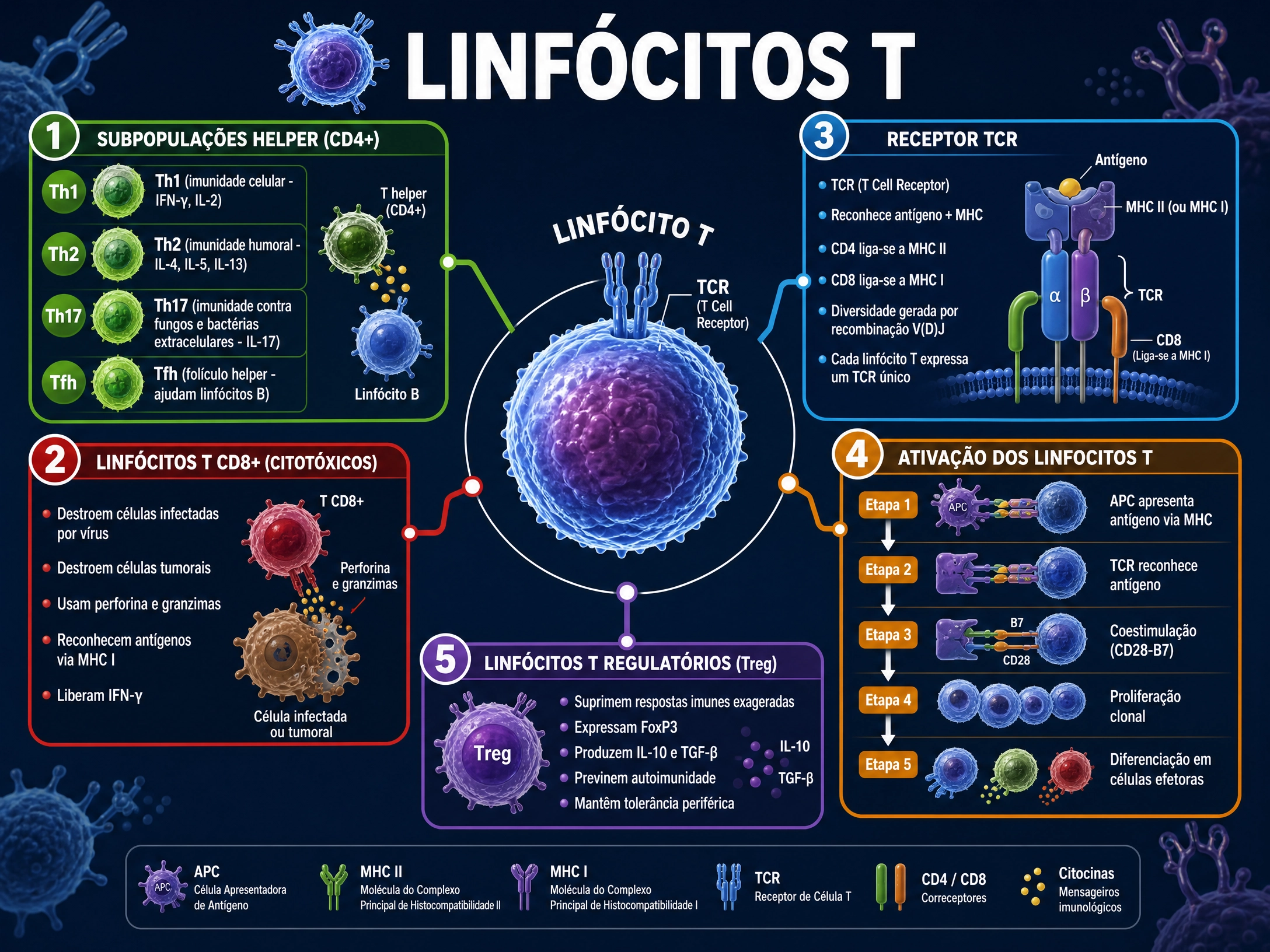 Mapa Imunologia Horizontal